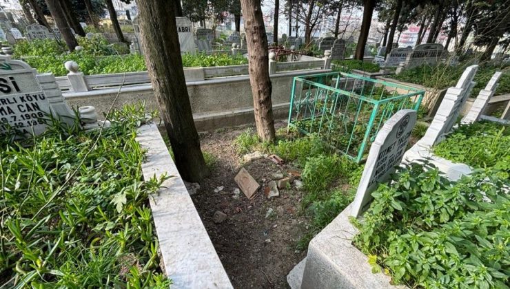 İstanbul’da üç kardeş 20 yıl sonra babalarına dava açtı: Kardeşlerini döverek öldürdüğünü söylediler