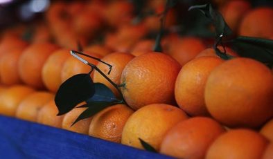 Ocak 2024’te en fazla fiyat farkı portakalda! Üretici ve market arasındaki fark yüzde 404