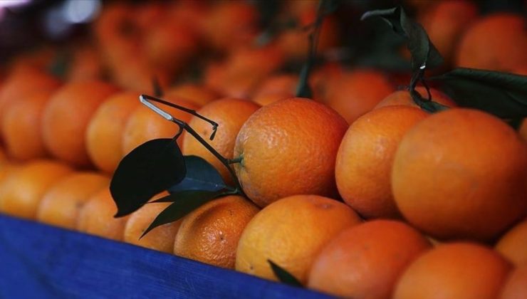 Ocak 2024’te en fazla fiyat farkı portakalda! Üretici ve market arasındaki fark yüzde 404