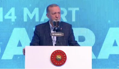 Cumhurbaşkanı Erdoğan: Türkiye’nin eline su dökecek ülke yok