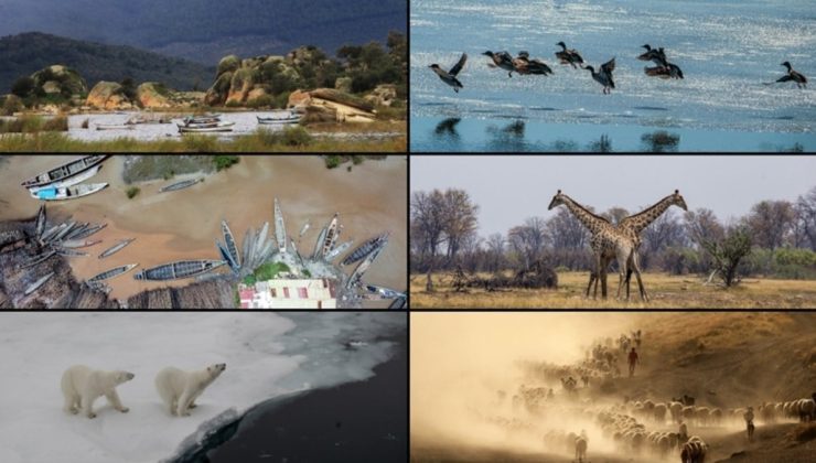 Dünya tehlike altında: Aşırı iklim olaylarında yeni rekorlara ulaşıldı