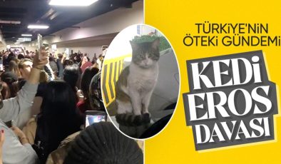 İstanbul’da Eros isimli kediyi öldürülmüştü: İbrahim Keloğlan hakim karşısında! Hayvanseverler akın etti