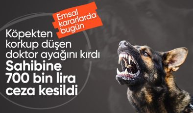 Samsun’da köpekten korkup düşen doktor ayağını kırdı: Mahkeme sahibine 700 bin TL’ye yakın ceza verdi