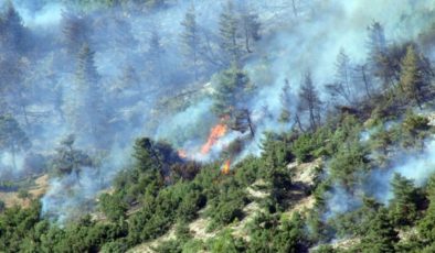 Karadeniz’de kuraklık etkisi! Orman yangınlarında artış tehlikesi